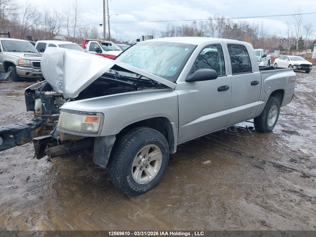 Продажа на аукционе авто 2011 Dodge Dakota, vin: 1D7RW3GKXBS686978, номер лота: 12569610