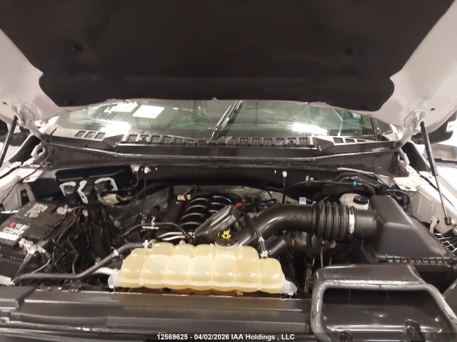 Продаж на аукціоні авто 2019 Ford F150 Supercrew, vin: 1FTEW1E5XKFC67628, номер лоту: 12569625