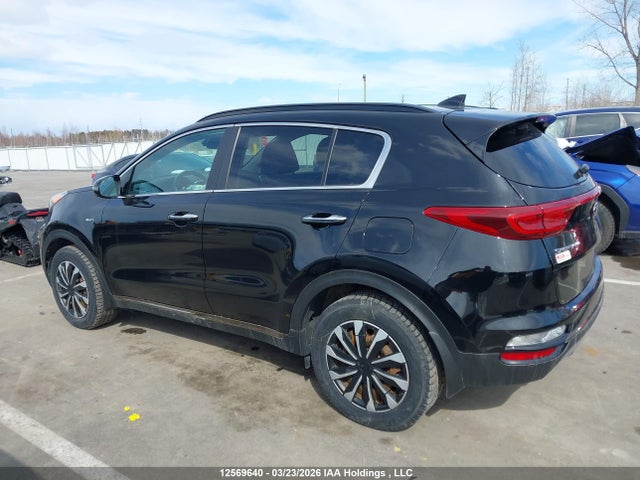 Aukcja sprzedaży 2022 Kia Sportage, vin: KNDPNCAC0N7976708, numer aukcji: 12569640