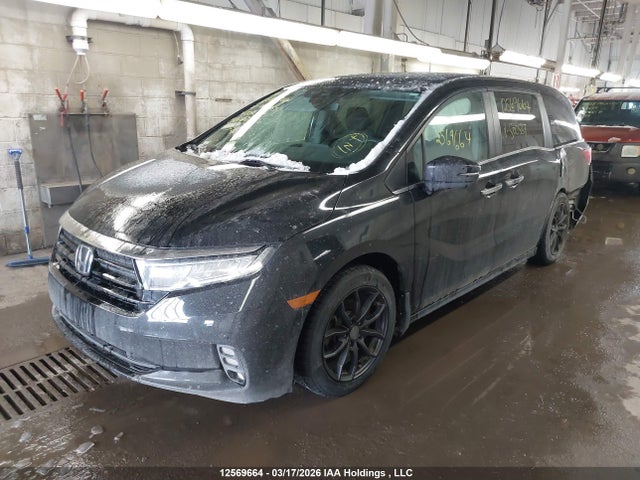 5FNRL6H4XMB500537 Honda ODYSSEY EX