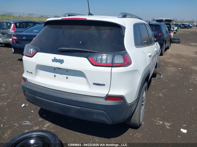 Продажа на аукционе авто 2019 Jeep Cherokee North, vin: 1C4PJMCB0KD279736, номер лота: 12569683