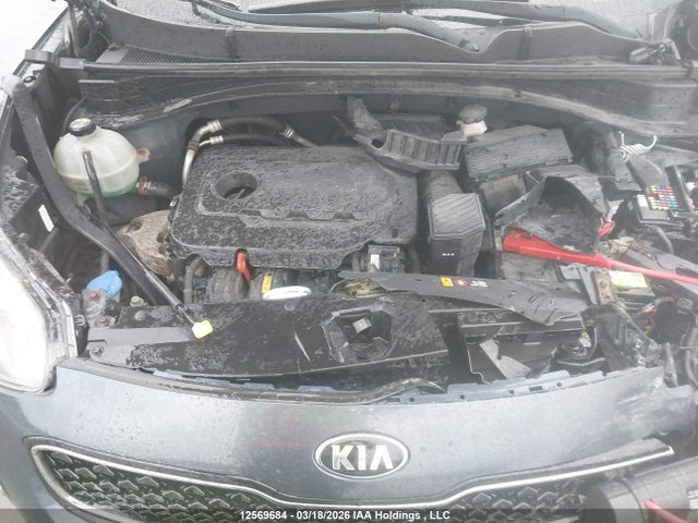 Aukcja sprzedaży 2017 Kia Sportage Lx, vin: KNDPMCAC7H7167312, numer aukcji: 12569684