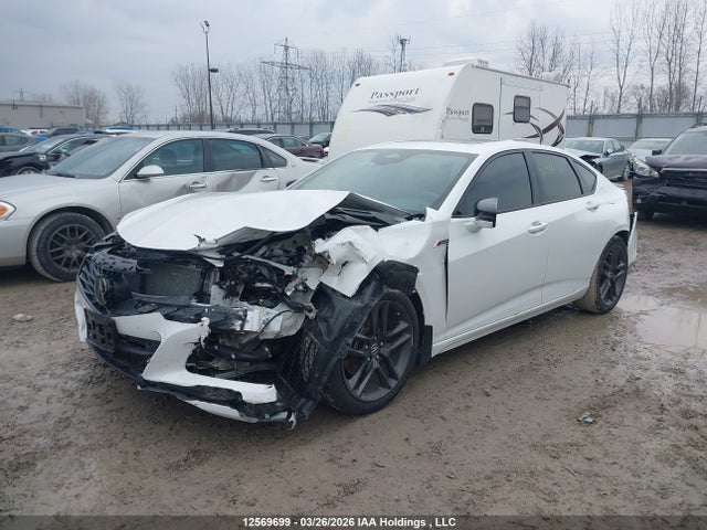 19UUB6F54RA800603 Acura Tlx A-spec