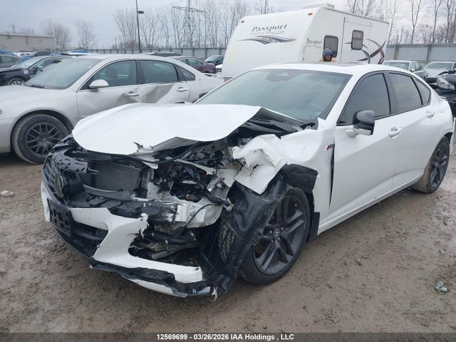 19UUB6F54RA800603 Acura Tlx A-spec