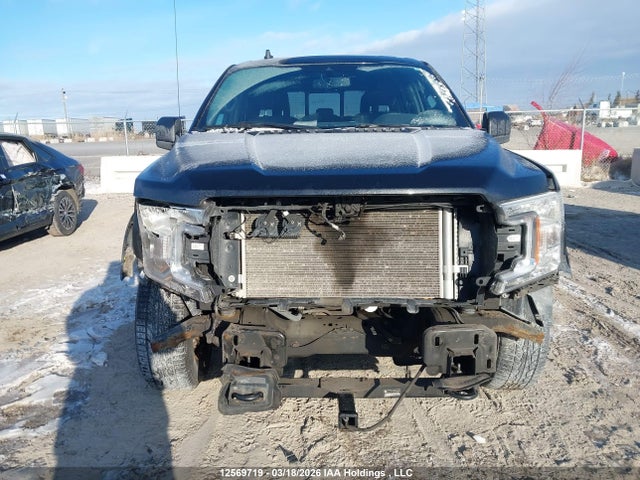 Продаж на аукціоні авто 2020 Ford F-150 Xlt, vin: 1FTEW1E50LFB58984, номер лоту: 12569719