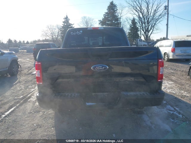 Продаж на аукціоні авто 2020 Ford F-150 Xlt, vin: 1FTEW1E50LFB58984, номер лоту: 12569719