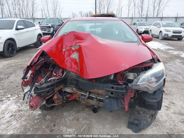 2T1BURHE9GC554624 Toyota Corolla