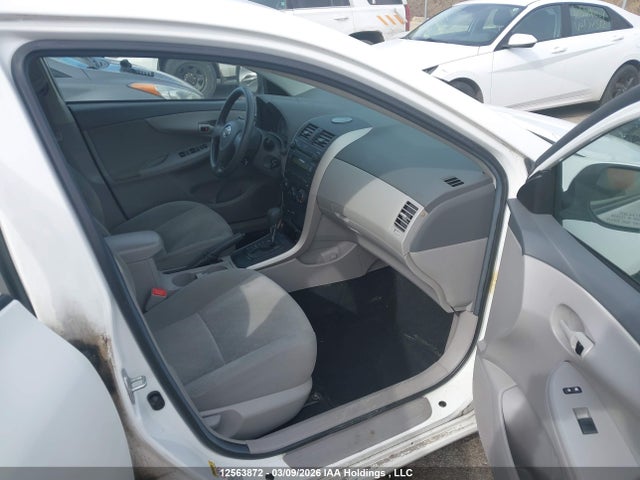 Продажа на аукционе авто 2009 Toyota Corolla Ce, vin: 2T1BU40E99C010853, номер лота: 12563872