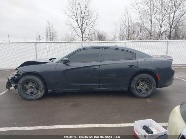 Auction sale of the 2017 Dodge Charger Sxt, vin: 2C3CDXHG3HH631218, lot number: 12569816