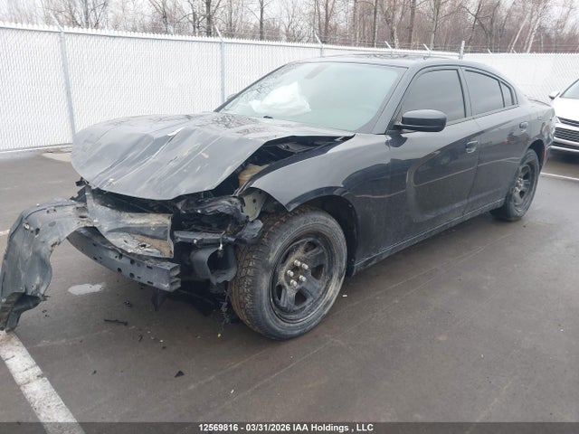 Auction sale of the 2017 Dodge Charger Sxt, vin: 2C3CDXHG3HH631218, lot number: 12569816