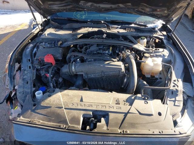 1FAGP8UH7S5119751 Ford Mustang
