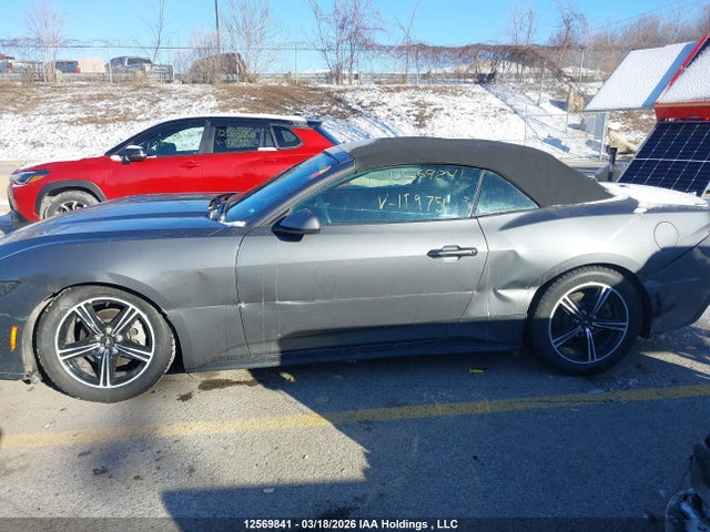 1FAGP8UH7S5119751 Ford Mustang