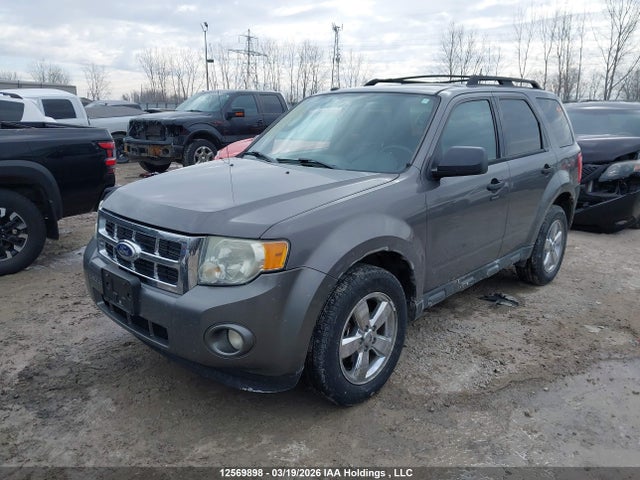 2010 Ford Escape Xlt მანქანა იყიდება აუქციონზე, vin: 1FMCU0DG3AKC70169, აუქციონის ნომერი: 12569898