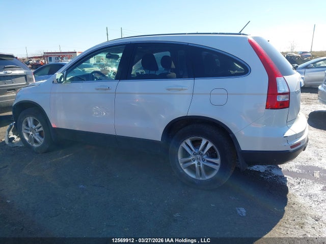 Продаж на аукціоні авто 2010 Honda Cr-v, vin: 5J6RE3H59AL801000, номер лоту: 12569912