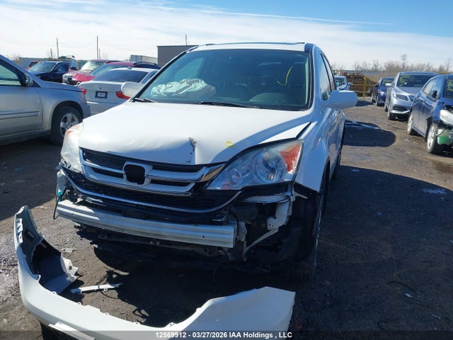 Продаж на аукціоні авто 2010 Honda Cr-v, vin: 5J6RE3H59AL801000, номер лоту: 12569912