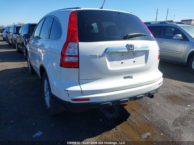 Продаж на аукціоні авто 2010 Honda Cr-v, vin: 5J6RE3H59AL801000, номер лоту: 12569912