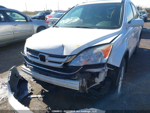 Продаж на аукціоні авто 2010 Honda Cr-v, vin: 5J6RE3H59AL801000, номер лоту: 12569912