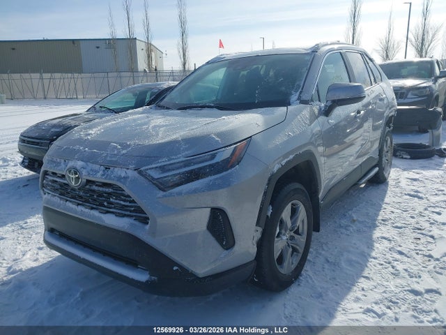 12569926 :رقم المزاد ، 2T3R1RFV1SC546494 vin ، 2025 Toyota Rav4 Xle مزاد بيع