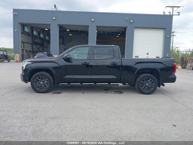 Aukcja sprzedaży 2024 Toyota Tundra, vin: 5TFNA5EC1RX030213, numer aukcji: 12569991
