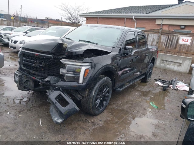 1FTFW5L54RFB61703 Ford F-150