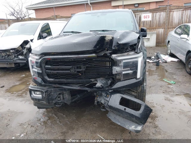 1FTFW5L54RFB61703 Ford F-150