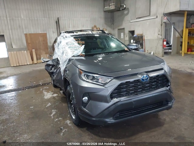 2T3RWRFV9MW116747 Toyota Rav4 Hybrid Xle