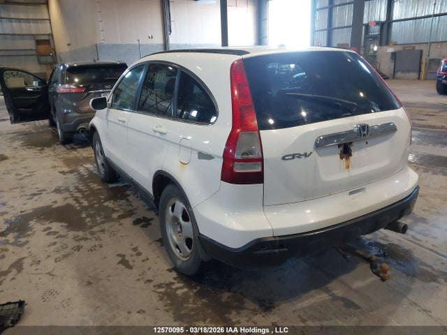 Продаж на аукціоні авто 2008 Honda Cr-v Exl, vin: 5J6RE48788L805833, номер лоту: 12570095