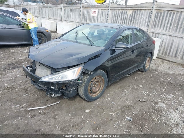 KMHD84LF6KU768350 Hyundai Elantra