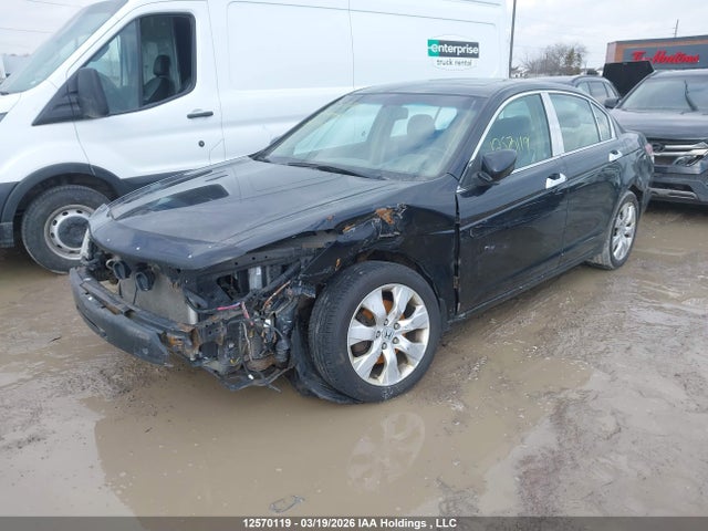 12570119 :رقم المزاد ، 1HGCP26819A802079 vin ، 2009 Honda Accord Ex-l مزاد بيع