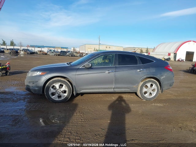 2010 Honda Accord Crosstour Ex-l მანქანა იყიდება აუქციონზე, vin: 5J6TF2H51AL800338, აუქციონის ნომერი: 12570141