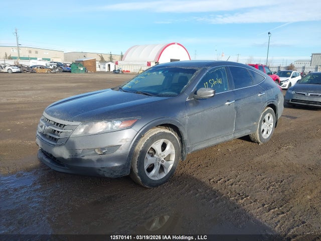 2010 Honda Accord Crosstour Ex-l მანქანა იყიდება აუქციონზე, vin: 5J6TF2H51AL800338, აუქციონის ნომერი: 12570141