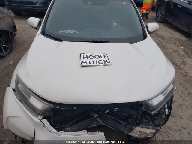 Aukcja sprzedaży 2019 Honda Cr-v Touring, vin: 2HKRW2H96KH123411, numer aukcji: 12570207