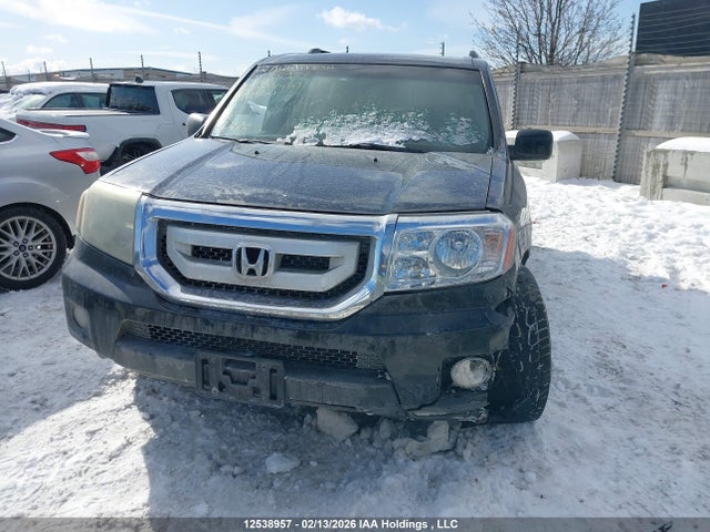 2009 Honda Pilot მანქანა იყიდება აუქციონზე, vin: 5FNYF485X9B504403, აუქციონის ნომერი: 12538957