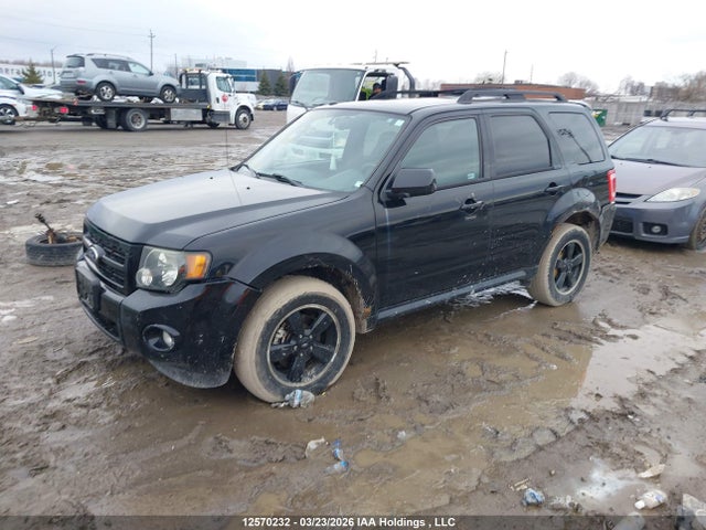 Продажа на аукционе авто 2010 Ford Escape Xlt, vin: 1FMCU9D7XAKD35586, номер лота: 12570232