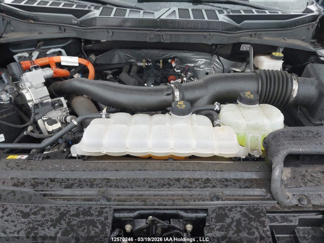 Продажа на аукционе авто 2024 Ford F150 Xlt, vin: 1FTFW3LD3RFB84952, номер лота: 12570246
