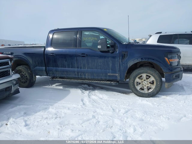 Продажа на аукционе авто 2024 Ford F150 Xlt, vin: 1FTFW3LD3RFB84952, номер лота: 12570246