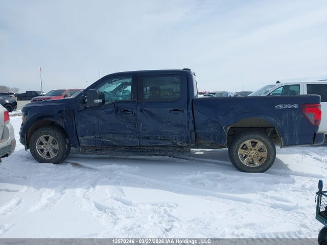 Продажа на аукционе авто 2024 Ford F150 Xlt, vin: 1FTFW3LD3RFB84952, номер лота: 12570246