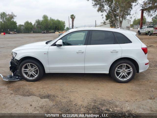 WA1M2AFPXHA034968 Audi Q5 2.0t Progressiv
