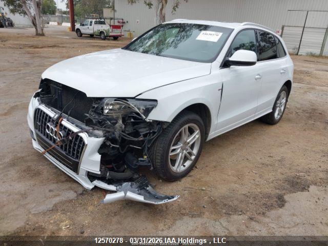 WA1M2AFPXHA034968 Audi Q5 2.0t Progressiv