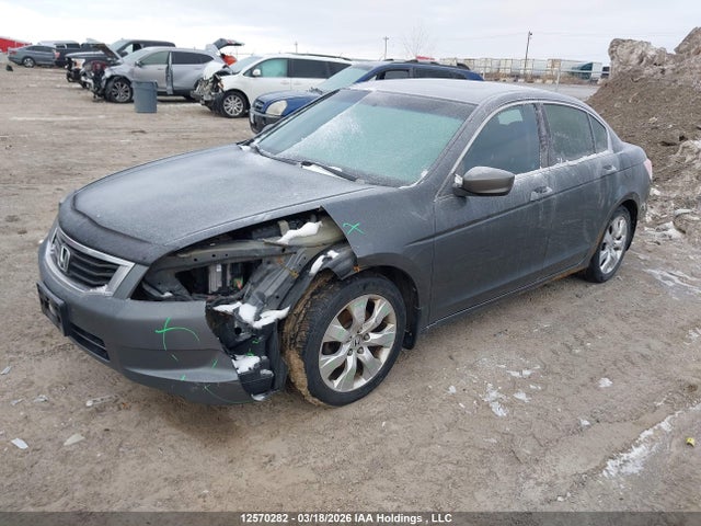 2008 Honda Accord Exl მანქანა იყიდება აუქციონზე, vin: 1HGCP26878A811299, აუქციონის ნომერი: 12570282
