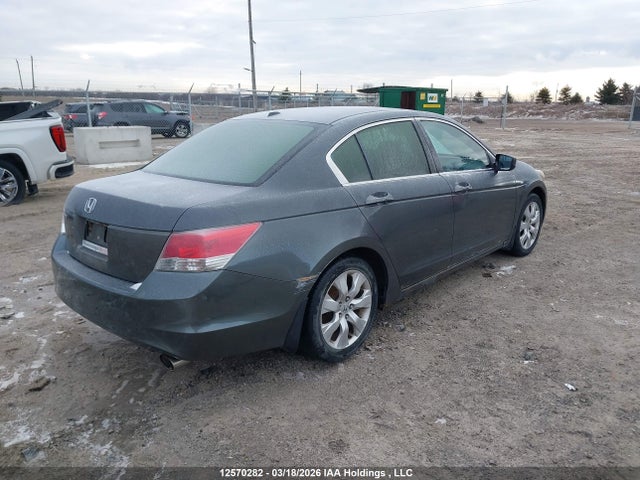2008 Honda Accord Exl მანქანა იყიდება აუქციონზე, vin: 1HGCP26878A811299, აუქციონის ნომერი: 12570282