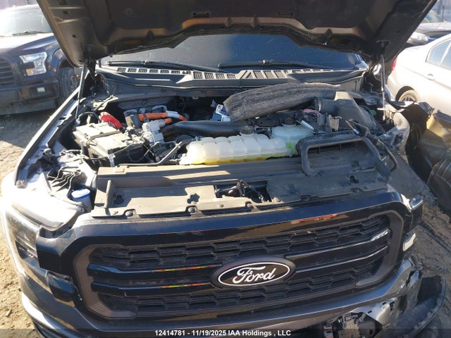 12414781 :رقم المزاد ، 1FTFW5LD7RFA67189 vin ، 2024 Ford F-150 Lariat مزاد بيع