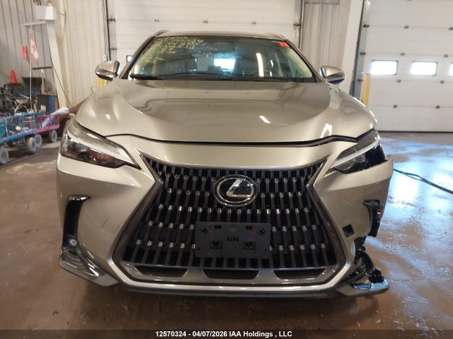 Aukcja sprzedaży 2022 Lexus Nx 250, vin: 2T2ADCEZ5NC002532, numer aukcji: 12570324