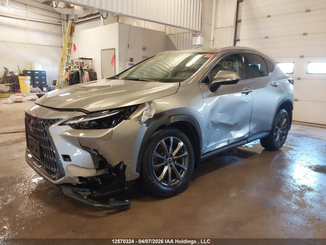 Aukcja sprzedaży 2022 Lexus Nx 250, vin: 2T2ADCEZ5NC002532, numer aukcji: 12570324