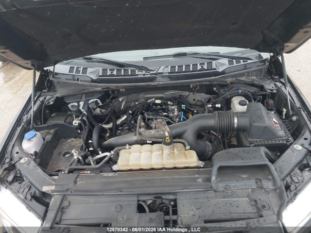 Auction sale of the 2019 Ford F-150 Xlt, vin: 1FTEW1EP3KKC56849, lot number: 12570342