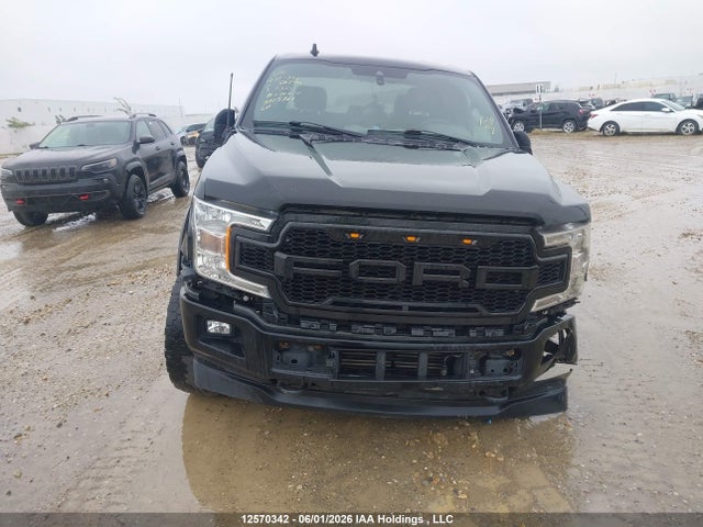 Auction sale of the 2019 Ford F-150 Xlt, vin: 1FTEW1EP3KKC56849, lot number: 12570342