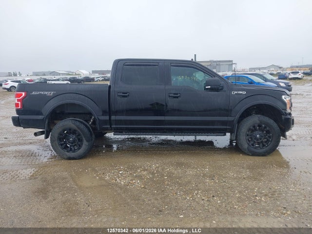 Auction sale of the 2019 Ford F-150 Xlt, vin: 1FTEW1EP3KKC56849, lot number: 12570342
