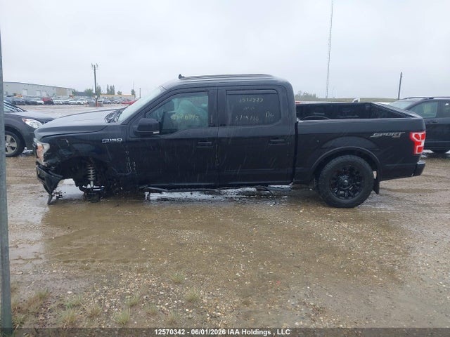 Auction sale of the 2019 Ford F-150 Xlt, vin: 1FTEW1EP3KKC56849, lot number: 12570342