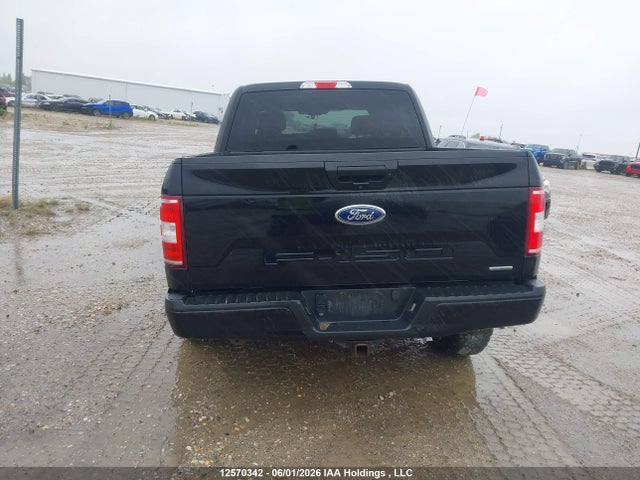 Auction sale of the 2019 Ford F-150 Xlt, vin: 1FTEW1EP3KKC56849, lot number: 12570342