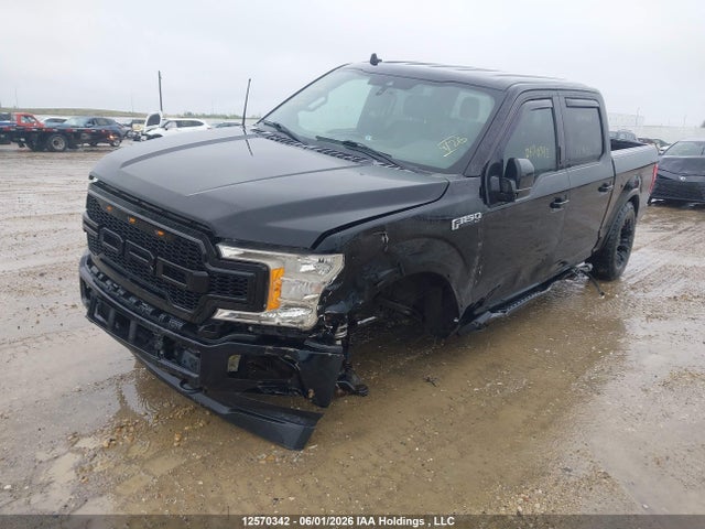Auction sale of the 2019 Ford F-150 Xlt, vin: 1FTEW1EP3KKC56849, lot number: 12570342